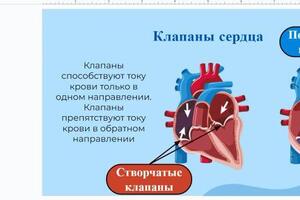 Фрагмент урока. Презентация — Мелкова Варвара Артуровна