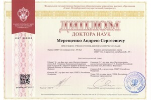 Диплом доктора наук (химия высоких энергий), СПбГУ, 2018 — Мерещенко Андрей Сергеевич