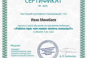 Диплом / сертификат №6 — Минибаев Иван Вячеславович