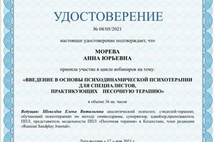 Диплом / сертификат №1005 — Морева Анна Юрьевна