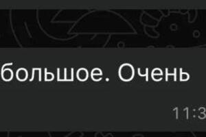 Подготовка к ОГЭ — Мудрова Юлия Николаевна