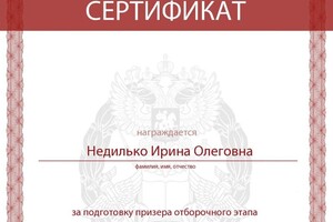 Диплом / сертификат №2 — Недилько Ирина Олеговна