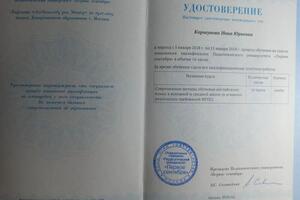 документ — Новопашина Инна Юрьевна