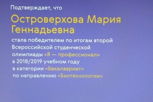 Диплом победителя Всероссийской студенческой олимпиады \