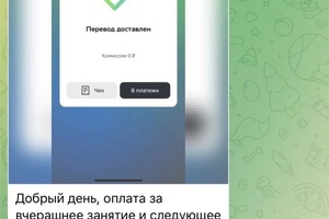 Портфолио №10 — Пальцева Вероника Вардановна