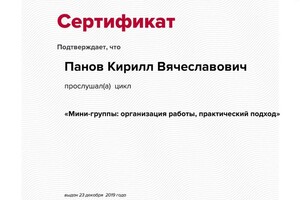 Организация обучения в мини-группах — Панов Кирилл Вячеславович