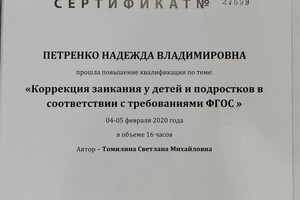 Диплом / сертификат №2 — Петренко Надежда Владимировна