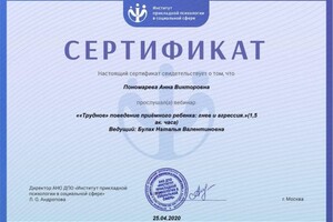 Диплом / сертификат №13 — Пономарева Анна Викторовна