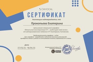 Диплом / сертификат №13 — Прокопьева Екатерина Владимировна