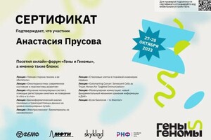 Диплом / сертификат №3 — Прусова Анастасия Евгеньевна