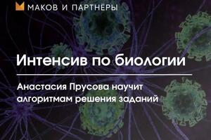 Провожу интенсивы по отдельным темам, что позволяет разбирать наиболее сложные темы в ЕГЭ — Прусова Анастасия Евгеньевна