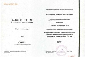 Эффективные приемы совершенствования языковых компетенций преподавателя — Расторопов Дмитрий Михайлович