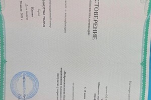Диплом / сертификат №10 — Романенкова Анна Федоровна