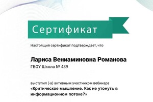 Диплом / сертификат №17 — Романова Лариса Вениаминовна