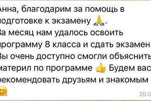 Подготовка к экзамену за 8 класс с нуля — Савинкова Анна Алексеевна