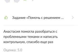 Подготовка к контрольной работе, выполнение домашнего задания — Семенова Анастасия Евгеньевна