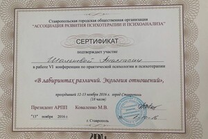 Участие в конференции — Шальнева Анастасия Александровна