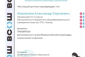 Диплом / сертификат №14 — Шаманаев Александр Сергеевич