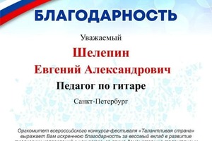 Диплом / сертификат №2 — Шелепин Евгений Александрович