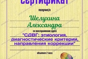 Диплом / сертификат №1 — Шелухина Александра Юрьевна