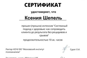 Диплом / сертификат №17 — Шепель Ксения Георгиевна