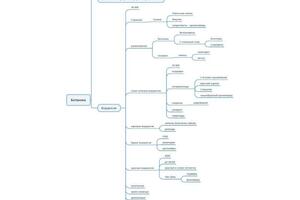 Блок-схемы, они же Mindmap — Шериев Султан Русланович