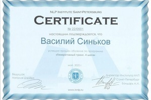 Диплом / сертификат №5 — Синьков Василий Александрович