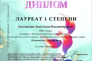 Диплом / сертификат №13 — Слюсарь Иван Владимирович