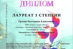 Диплом / сертификат №27 — Слюсарь Иван Владимирович