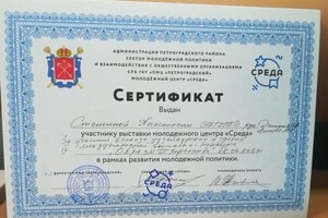 Диплом / сертификат №3 — Смирнова Анастасия Алексеевна