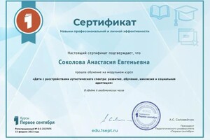 Диплом / сертификат №5 — Соколова Анастасия Евгеньевна