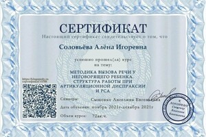 Диплом / сертификат №23 — Соловьева Алена Игоревна