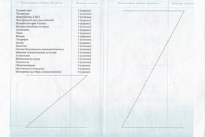 Диплом / сертификат №2 — Соловьева Екатерина Константиновна