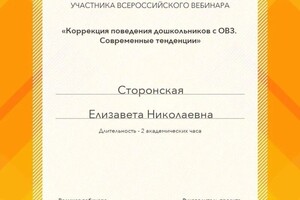 Диплом / сертификат №8 — Сторонская Елизавета Николаевна