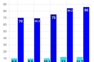 86% - процент высокобальников (80+) среди моих учеников, а это на 74% выше среднего значения по России — Строжко Фаина Юрьевна