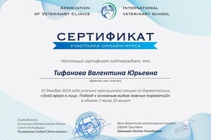 Диплом / сертификат №3 — Тифанова Валентина Юрьевна