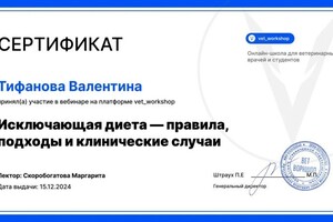 Диплом / сертификат №4 — Тифанова Валентина Юрьевна