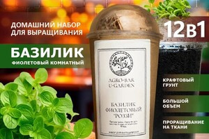 Портфолио №2 — Ууделепп Дария Алексеевна