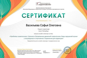 Диплом / сертификат №12 — Васильева Софья Олеговна