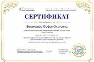 Диплом / сертификат №8 — Васильева Софья Олеговна