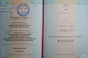 Профессиональная переподготовка, педагогическое образование, учитель английского языка — Вишнякова Анна Михайловна