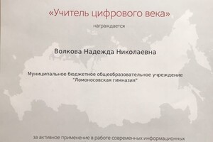 Заслуги за профессиональное мастерство — Волкова Надежда Николаевна