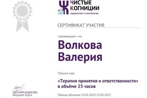 Диплом / сертификат №43 — Волкова Валерия Сергеевна