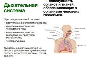 Портфолио №6 — Волочай Алина Валерьевна