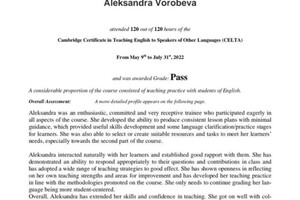 Диплом / сертификат №13 — Воробьева Александра Николаевна