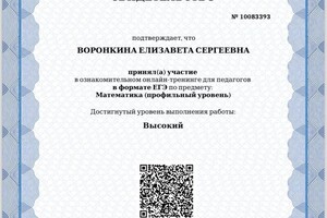 Диплом / сертификат №5 — Воронкина Елизавета Сергеевна