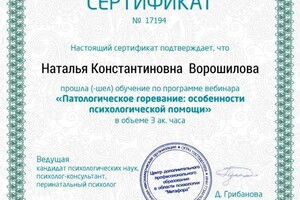 Диплом / сертификат №1 — Ворошилова Наталья Константиновна