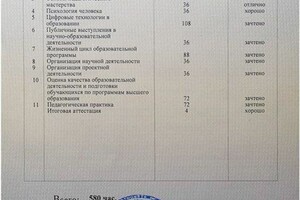 Диплом о педагогической переподготовке — Янин Иван Сергеевич