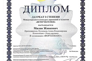 Диплом / сертификат №5 — Живкович Милан