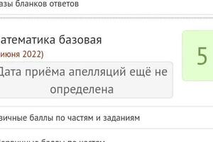 Подготовка в течение 1 года, ученица сдавала 10 и 11 класс за 1 год (экстернат). — Зиганшина Лия Васильевна